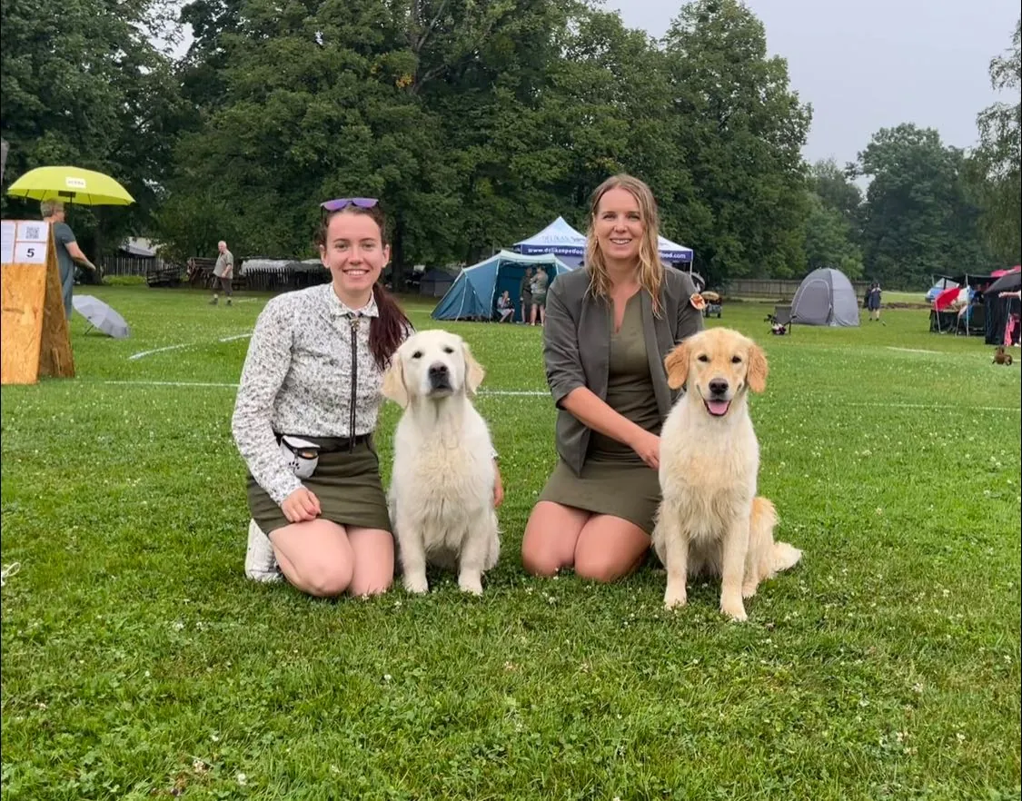 Výstava v Bordovicích