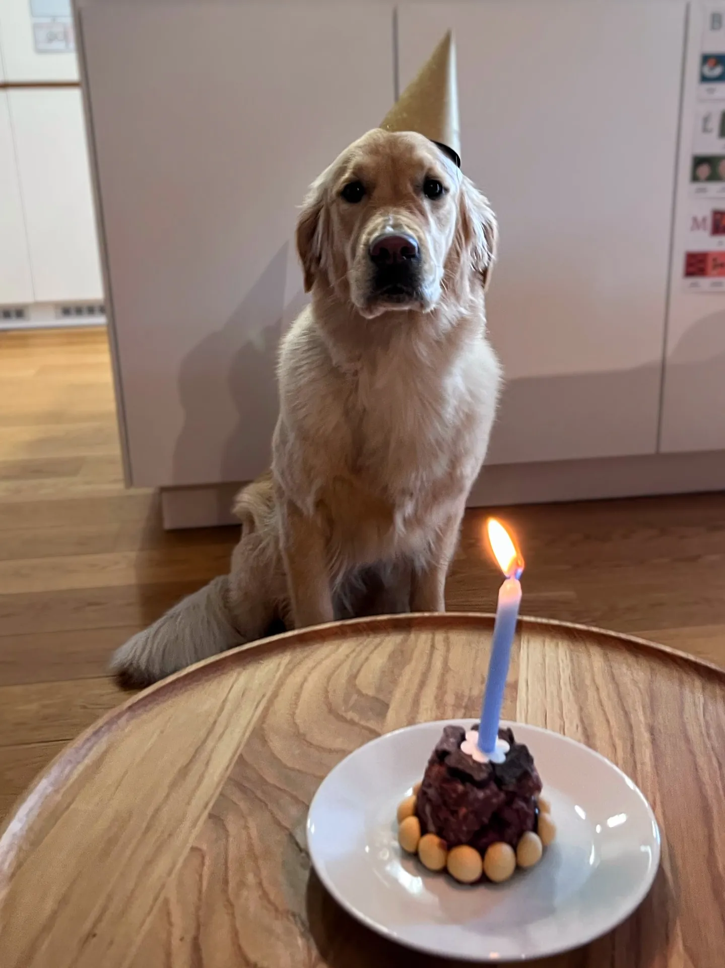 Alminka slaví 1. narozeniny