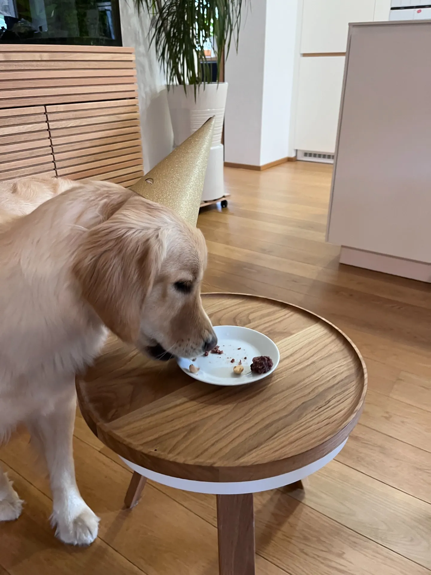 Alminka slaví narozeniny