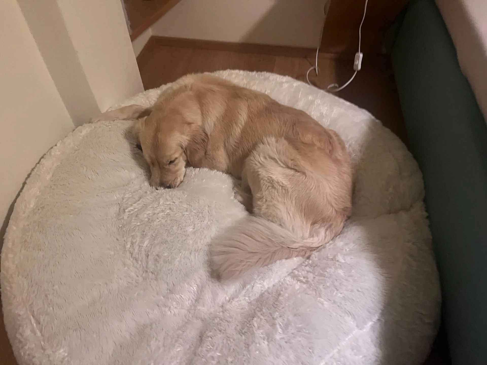 Alminka slaví narozeniny