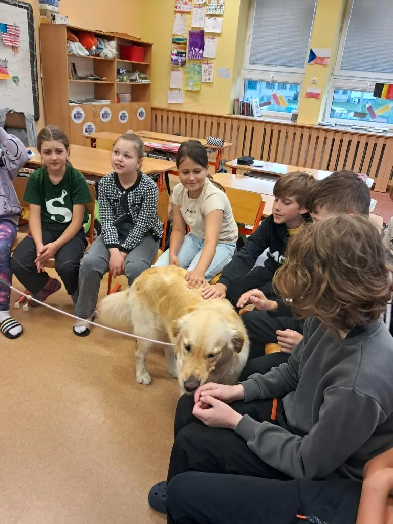Děti hladí Alminku během návštěvy ve škole