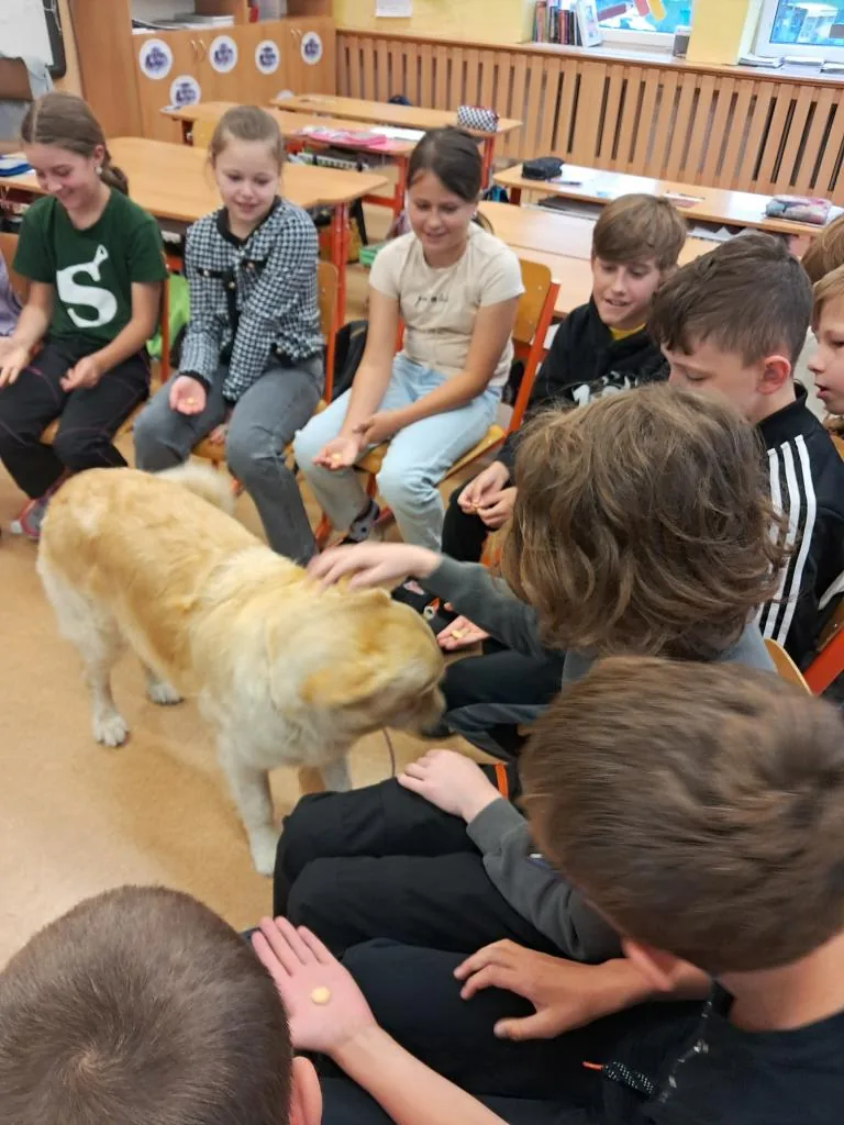 Děti krmí Alminku pamlsky ve školní třídě
