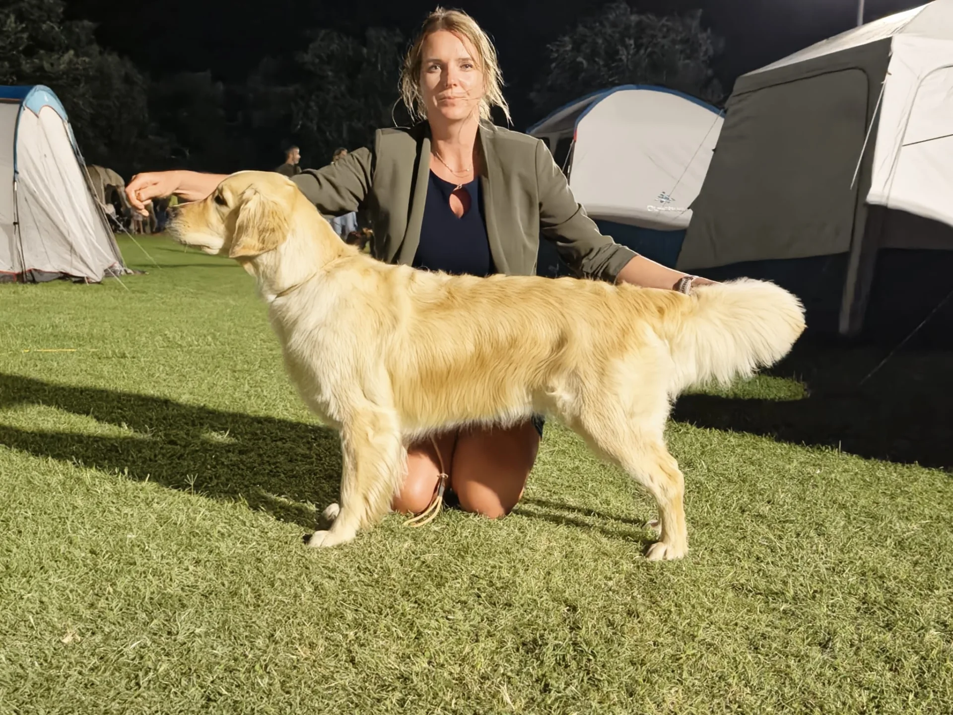 Alma Bohemica Aurum ve výstavním postoji na Night Dog Show ve Splitu